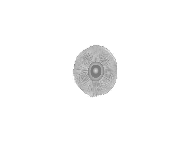 Plant Pot Label Mushroom