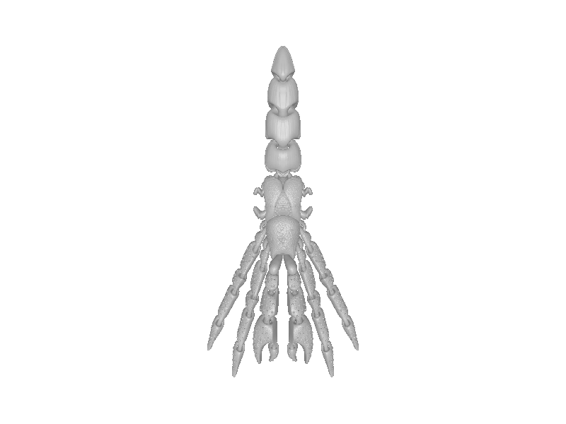 Articulated Hermit Crab Model